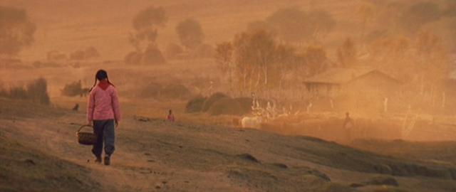 张艺谋的电影风格和特点，作为时代的一块