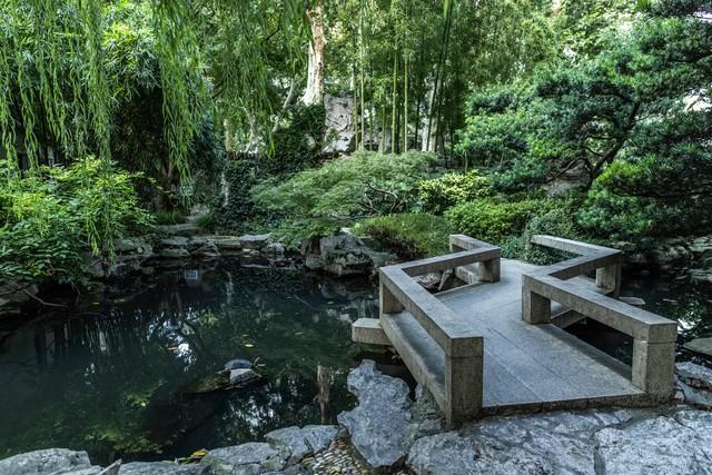 2米高罗汉松价格多少，2米高罗汉松价目表