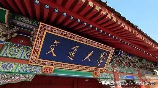 上海交大农学院，上海交通大学的工科学科排名