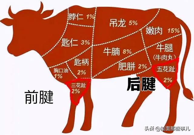 牛腱子是前腱子好还是后腱子好，买牛腱子肉哪个部位好