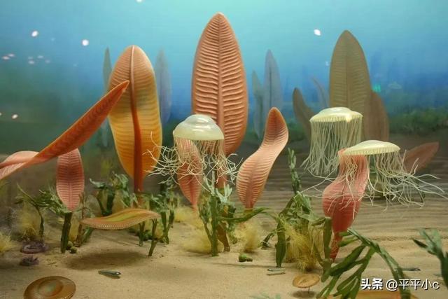 地质年代简表，2020年最新国际年代地层表