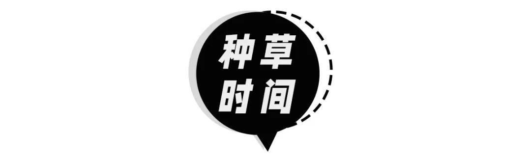 高腰阔腿裤显瘦又显高九分裤，“九分裤”才是小个子显腿长神器