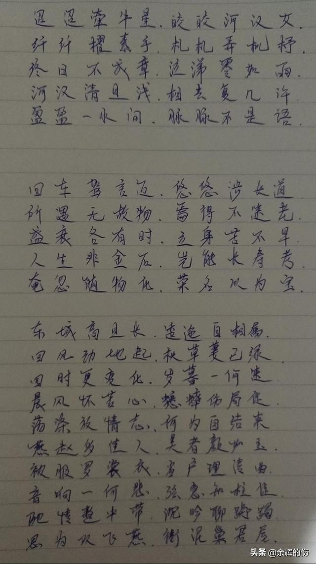 一个馒头引发的血案，一个馒头引发的血案讽刺什么（这瓜，信息量太大！）