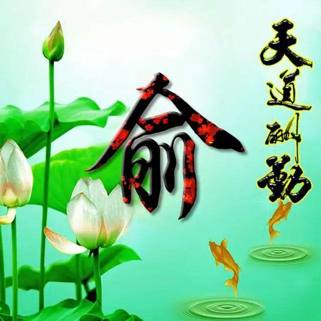 荷花头像图片大全，荷花头像高清图