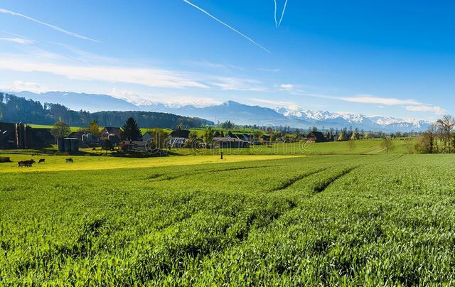 世界农业第一强国，世界十大最顶尖的农业