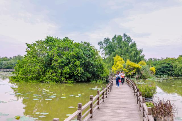 广州大沙地有什么吃的，广州最南端的潮玩地