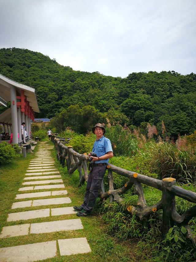 关于深圳梧桐山简介，深圳之巅——梧桐山