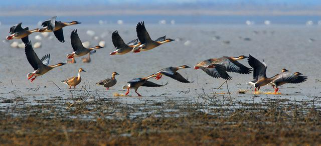 江西永修县旅游景点，江西永修千年古镇吴城