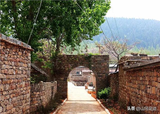 伏见桃山起源，来自日本天皇陵墓的奶茶