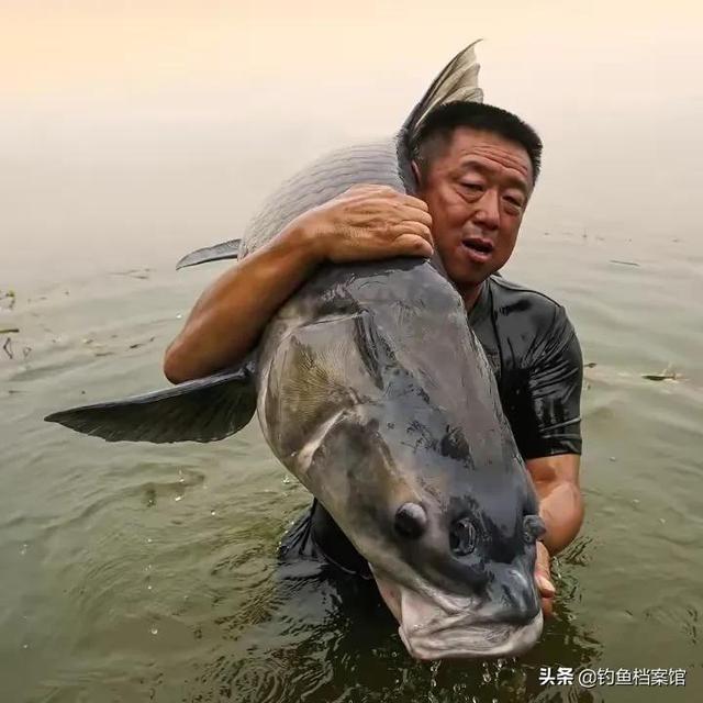 山东钓王化绍新，王者之战：老钓王为何退居幕后
