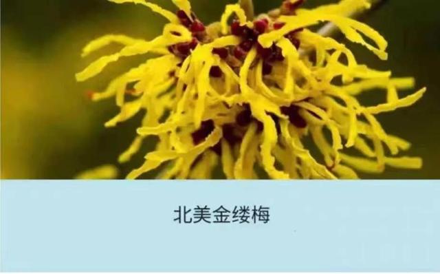 缓解狐臭味的止汗露哪种好，止汗露测评来告诉你这些产品到底好不好用