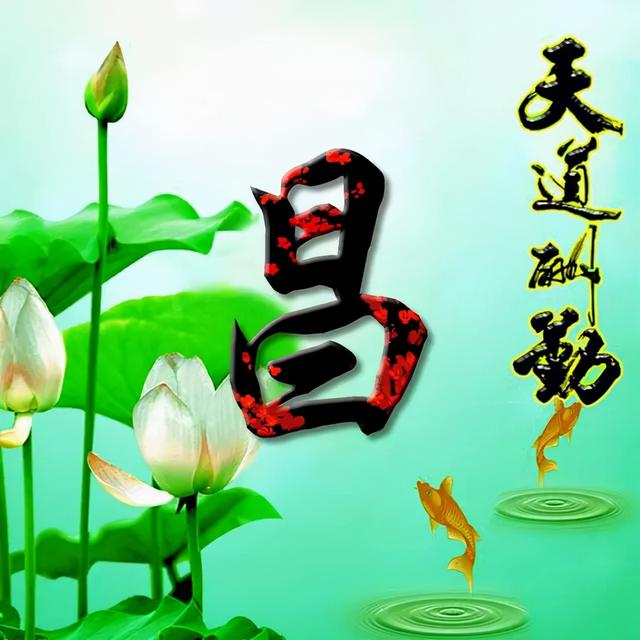 荷花头像图片大全，荷花头像高清图