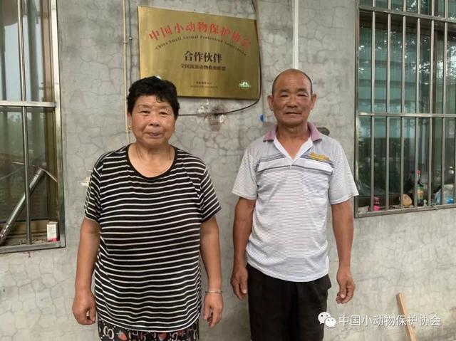 流浪动物救助站，流浪动物救助站统计（爱心人士反映四川江油流浪动物救助站动物生存环境恶劣）