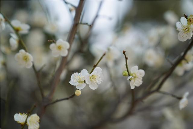 淮安哪个区最繁华，江苏淮安最值得去的地方