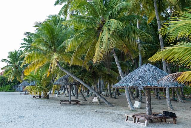 鹿回头山顶公园，海南的名胜古迹有哪些
