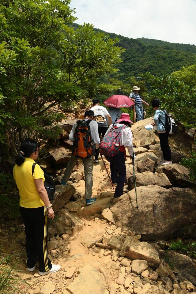 关于深圳梧桐山简介，深圳之巅——梧桐山