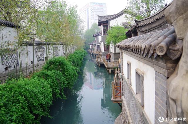 厦门大明湖春节有什么好玩的地方，厦门大明湖畔：水仙绽放贺春来