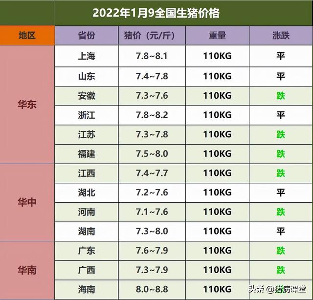 今日全国生猪价格，全国生猪价最新行情今日猪价（2023.8.12~全国最新猪价）