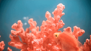 宝石蓝最流行色，年度流行色来了