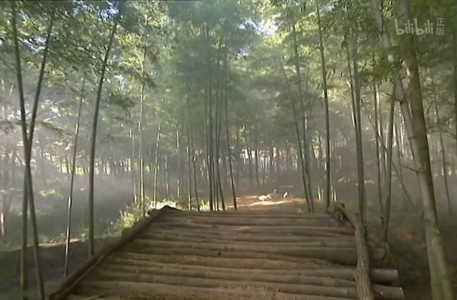 新笑傲江湖黄海冰，2003年李亚鹏许晴版笑傲江湖（我断定这将是2023武侠剧的天花板）