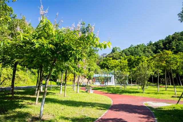 广州绿道田园景点，博罗这些高颜值绿道等你来打卡