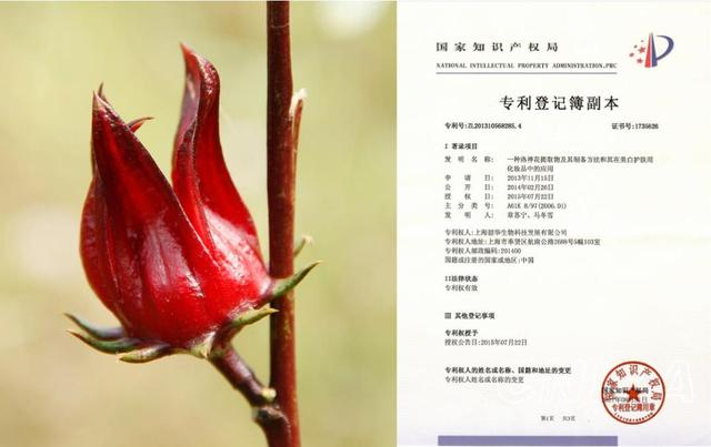 华邦健康长远估值，截至2023年3月10日