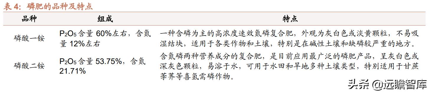 磷矿的市场前景，稀缺资源市场为何视而不见