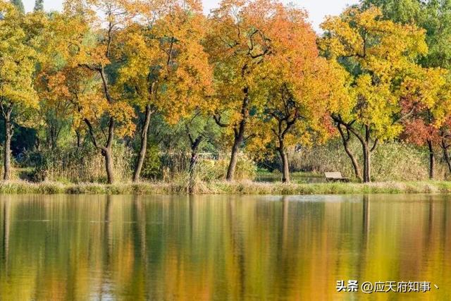 南京打卡景点小众，安利30处南京小众打卡地