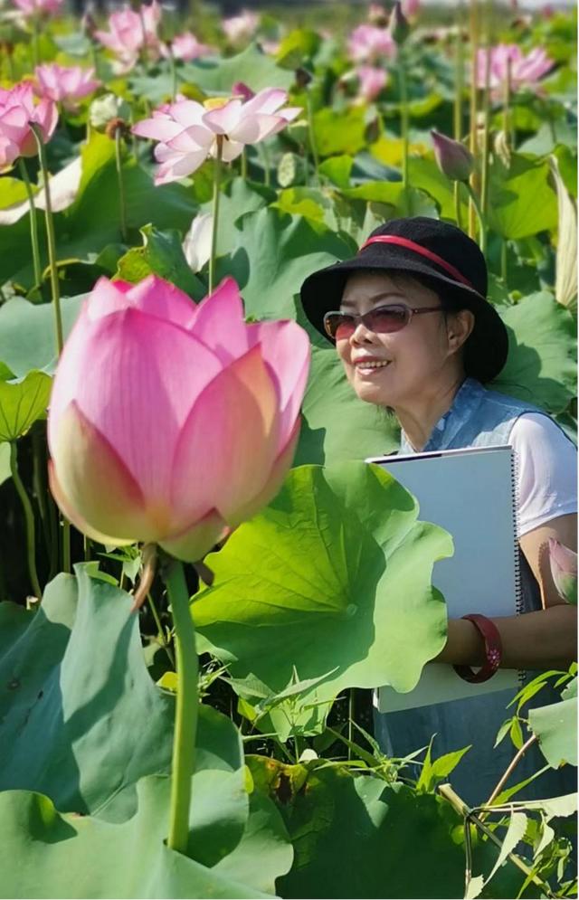 名家禅意水墨荷花，水墨淋漓写荷韵