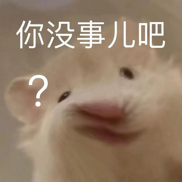 小仓鼠动态迷你表情包，变形脸仓鼠可爱老鼠