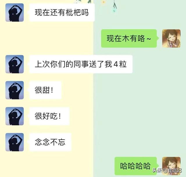 同样是大五星枇杷，四川米易枇杷几月成熟