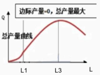 中级经济师生产函数和生产曲线，中级经济师《经济基础》-3.2生产函数和生产曲线