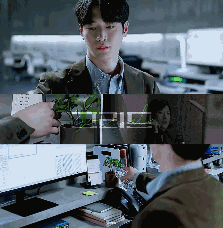 秘密森林剧情豆瓣，不愧是秘密森林编剧新作