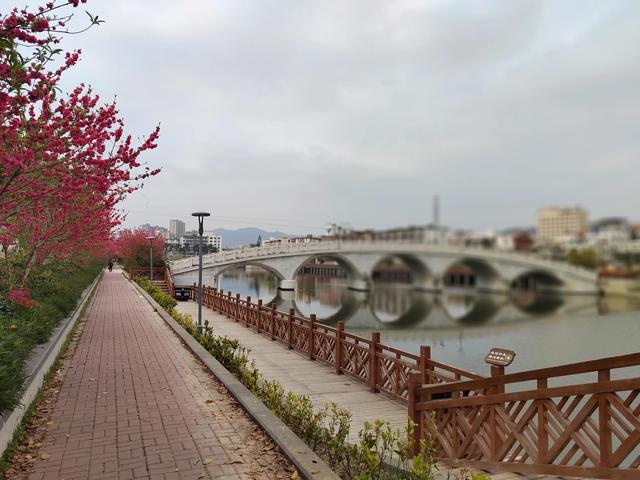 乌鸦哥绘画，阿庆哥画鸟