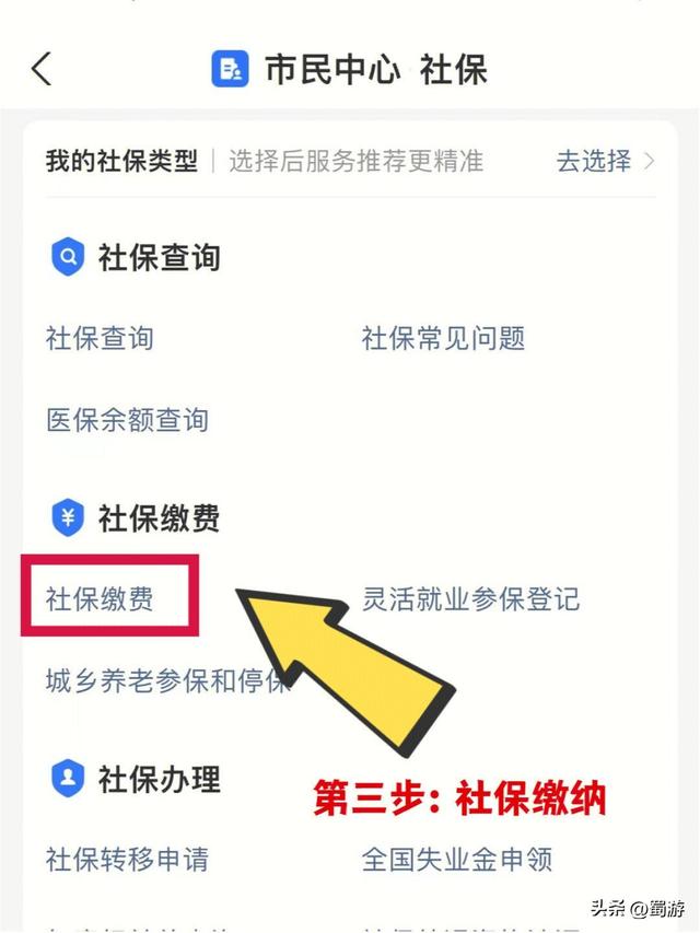 社保怎么自己交，一个新手怎么自己交社保（个人缴纳社保的具体流程有哪些）