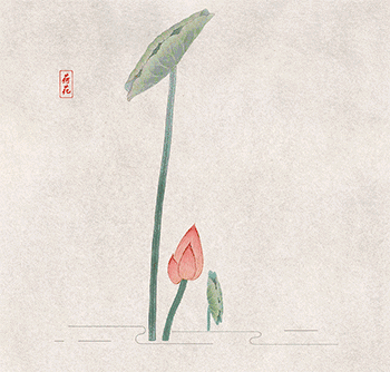 每日禅语人生感悟，50句智慧禅语人生无常