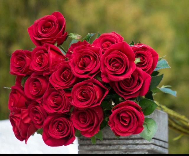 蓝色满天星图片，各种花的名称以及花语