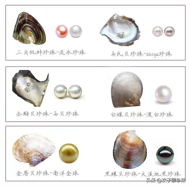 挑选珍珠怎么挑才是好的，选购珍珠的10个避坑指南