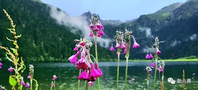 云南旅游交通图，云南自驾游最美线路图一天