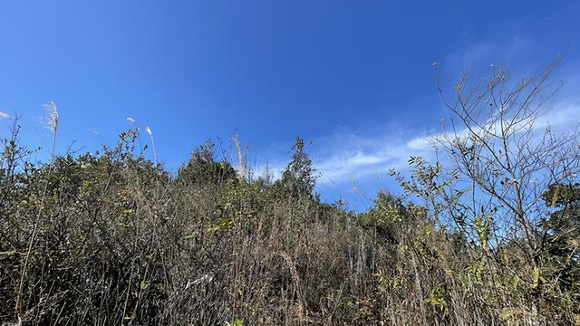 广州徒步登山经典路线，​黄埔秘境在这里