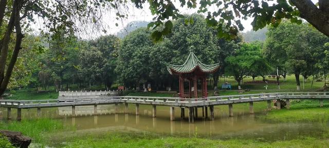 夏诗词飞花令，学生时代必背古诗词大全