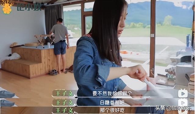 王朔与王子文私下关系，与贾乃亮传绯闻多年、未婚生子