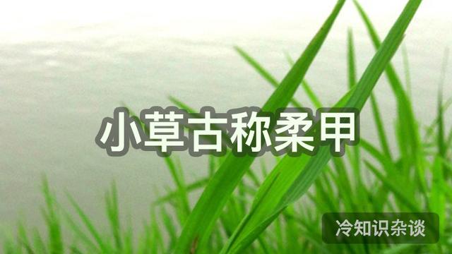 古代雅称全部，古代很多东西的雅称真好听