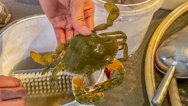 广州大沙地有什么吃的，广州最南端的潮玩地