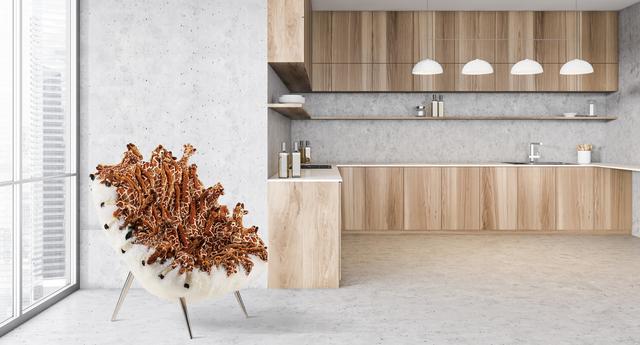 欧美轻奢家具品牌，国外家具品牌APCOLLECTION收藏级别家具