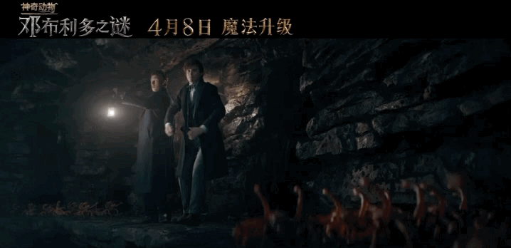 有哪些神奇的动物，15种你需要了解的神奇动物（10种不寻常的神奇动物很难想象它们独特的模样）