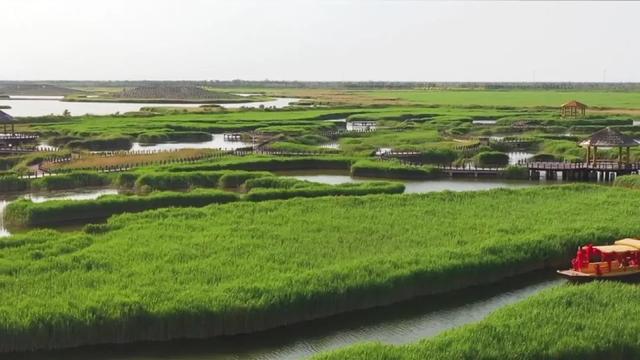 河北省沧州市十大旅游景点排名，沧州的十大景点