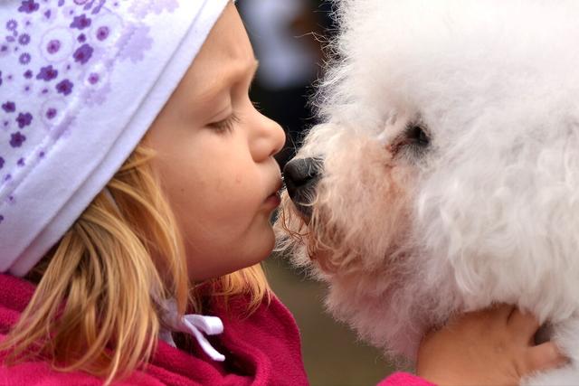 狗狗舔你代表什么，狗狗老是舔你表示什么