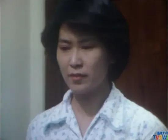 tvb电视剧大全，tvb全部电视剧大全（TVB历年电视剧大全-1979）