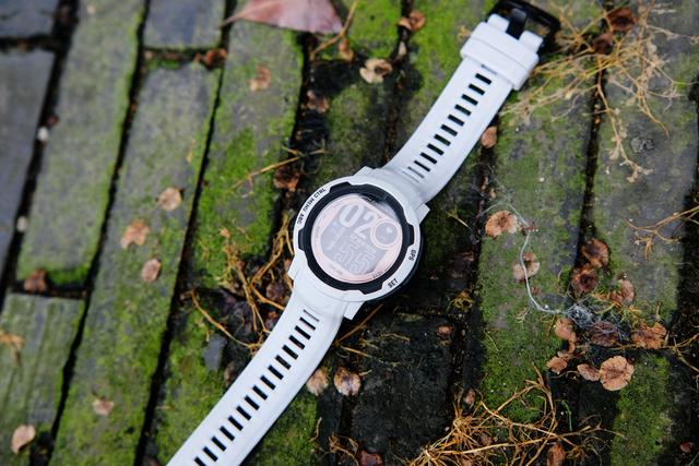 garmin手表，garmin手表说明什么